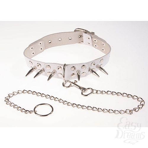 ���������� 1:  ����� ������� ������� � ������