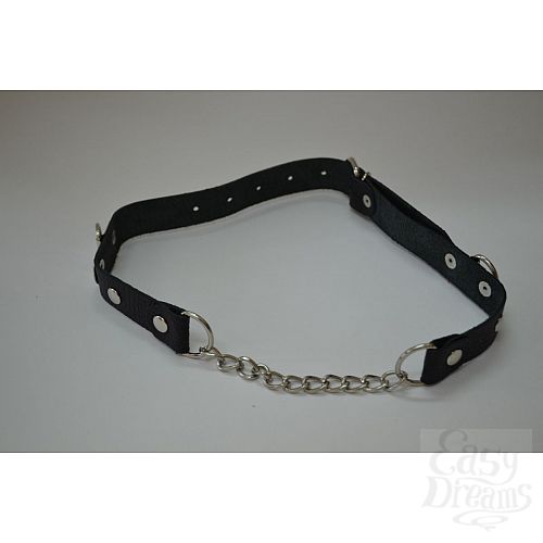 ���������� 1:  ׸���� ���� � ��������