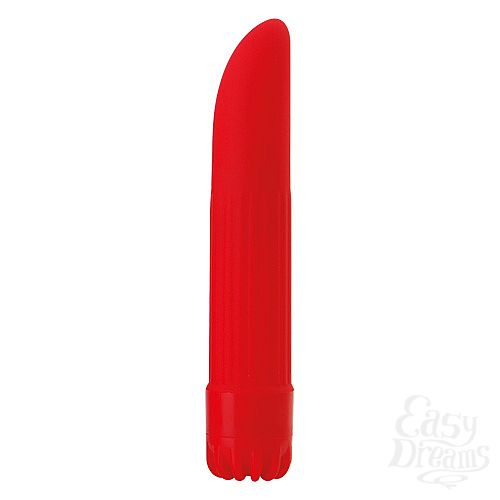 ���������� 1:  ������� ����-�������� CLASSIC VIBE RED SMALL - 14 ��.