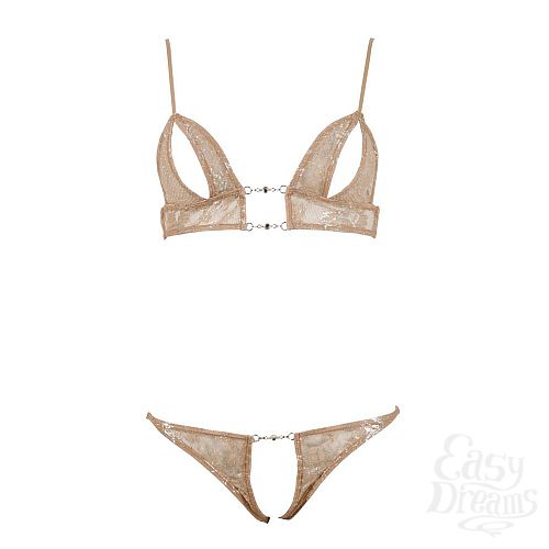 ���������� 3  ����������� �������� � ��������