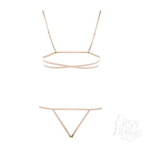 ���������� 4  ����������� �������� � ��������