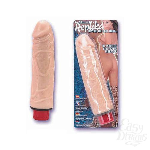  1:      Replika
