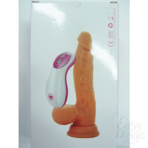 ���������� 1:  �������������-��������� �� �������� � ������� ���������� - 17 ��.