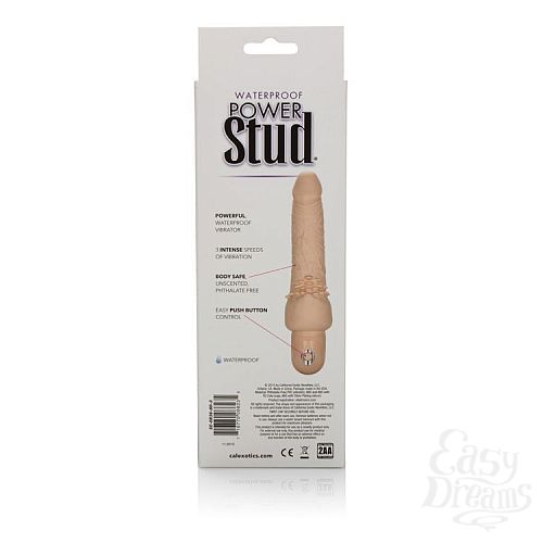 ���������� 5  �������� ������������� � ���������� ��� ������������ ���������� Waterproof Power Stud Cliterrific - 24 ��.