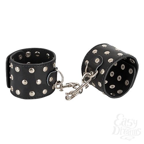 ���������� 1:  ��������� Bad Kitty � ��������� �������� �� ���� ���������