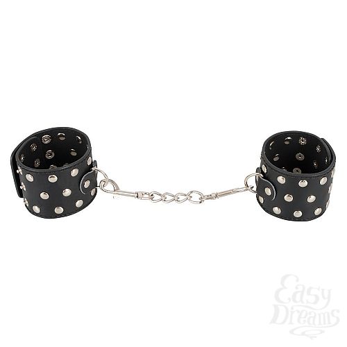 ���������� 2  ��������� Bad Kitty � ��������� �������� �� ���� ���������