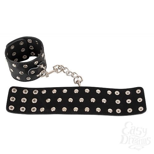 ���������� 3  ��������� Bad Kitty � ��������� �������� �� ���� ���������