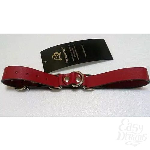 ���������� 1:  ������� �������� ��������� � �����������