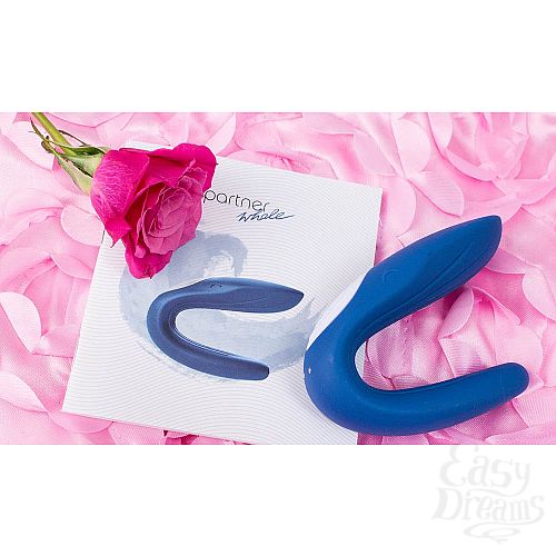  7     - Partner Whale , 