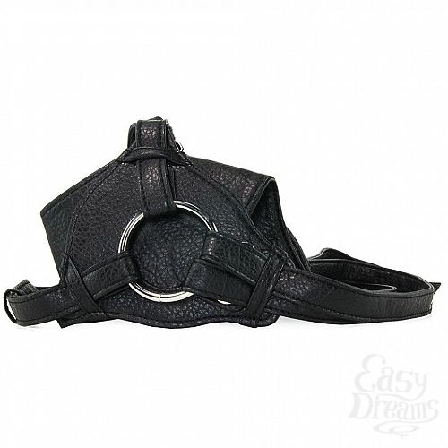  5   Her Royal Harness The Queen  California Exotic Novelties 