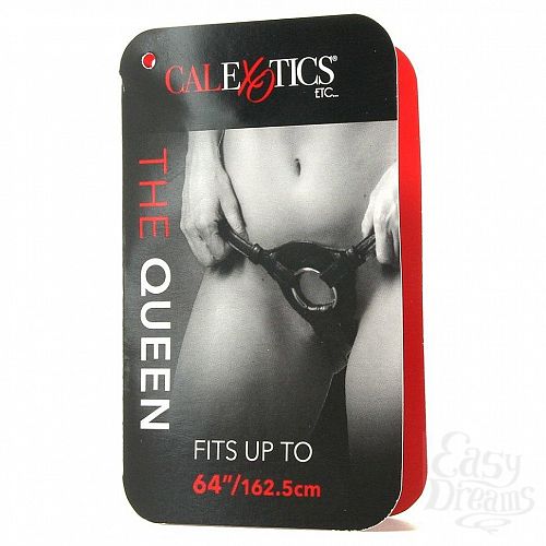  6   Her Royal Harness The Queen  California Exotic Novelties 