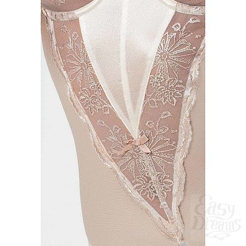 ���������� 6  ���� Lotus � V-�������� ��������� ��������