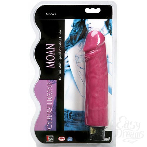 ���������� 1:  �������� � ������������ ��������� �� ������������� (Dream Toys 20116)