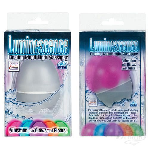  3    LUMINESCENCE 2081-03 BX SE