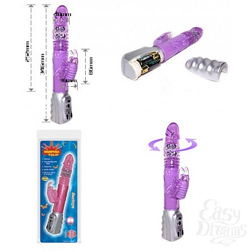 ���������� 2  ������������� � ��������, ��������������� ���������� � ����������� �������