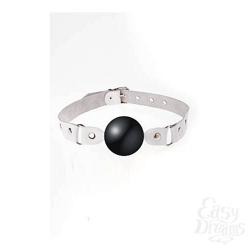 ���������� 1:  ���� � ����� ��������