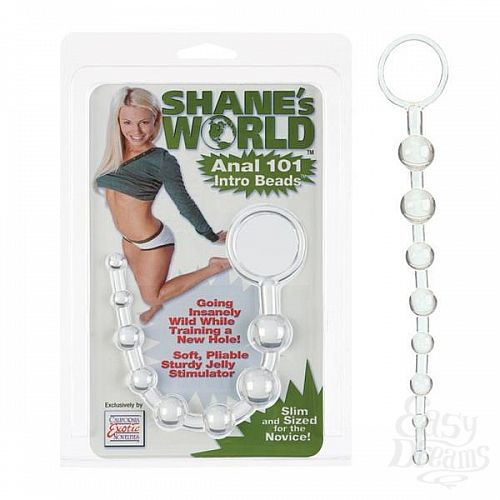 ���������� 1:  �������� ������ Sw Anal 101 Intro Bds Clr 1314-00CDSE