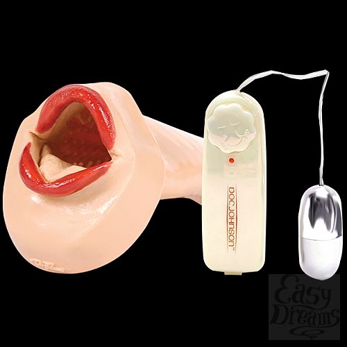  2  - Lori 1155-01BXDJ