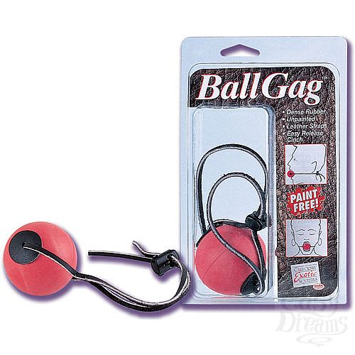 ���������� 1:  ���� � ��������� ����� BALL GAG
