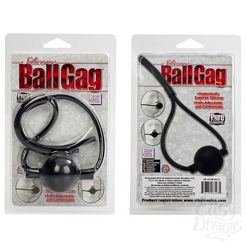 ���������� 2  ���� �� �������� ������ BALLGAG