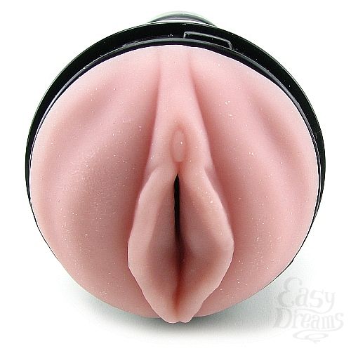  2   Fleshlight - Pink Lady Original