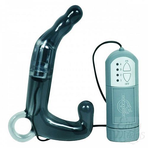  1:        PLEASURE WAND