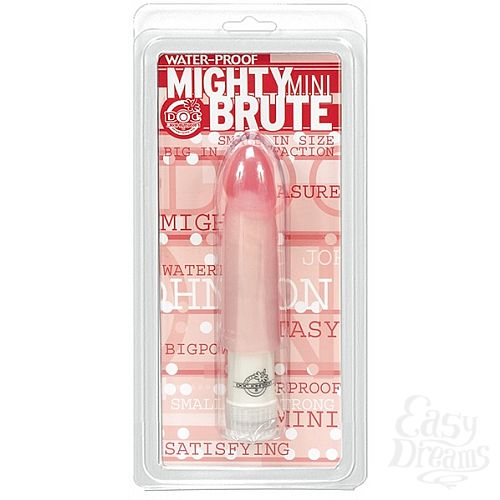  2      BRUTE