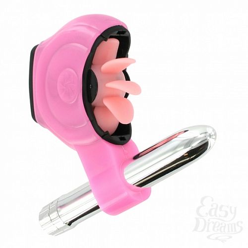 ���������� 1:  ����� ��� ������������ Sqweel