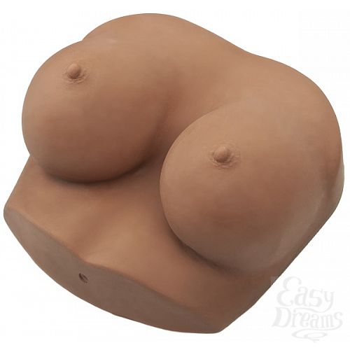  1:      NOCHES LATINAS 