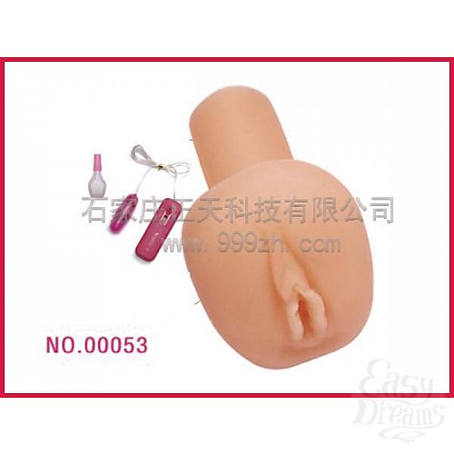 ���������� 1:  �����������-������ � ����������