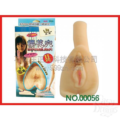 ���������� 1:  �����������-������ ��������� � ����������