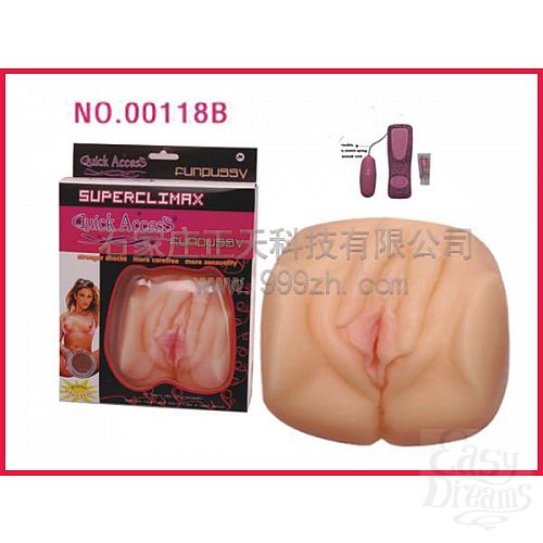 ���������� 1:  �����������-������ ��������� � ����������