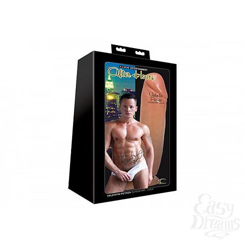 ���������� 1:  �������������-����� ������ ��������� �������