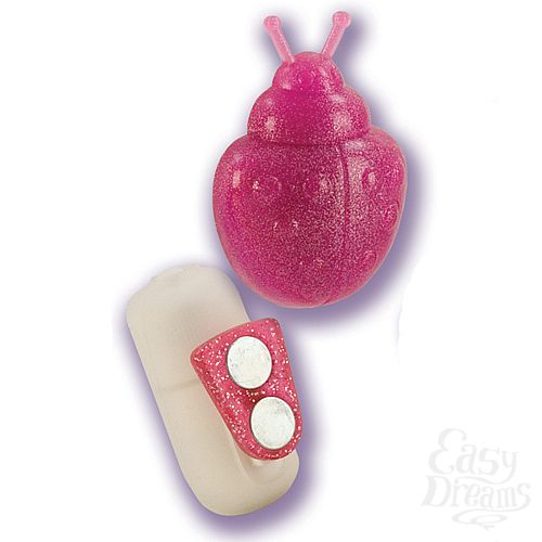 ���������� 2  ���������� �� ������� ����� ������� 0041-04 BX SE