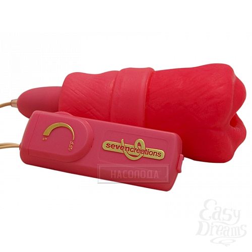 ���������� 2  ������ Little Miss � ����������