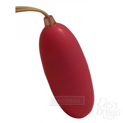 ���������� 5  ������ Little Miss � ����������