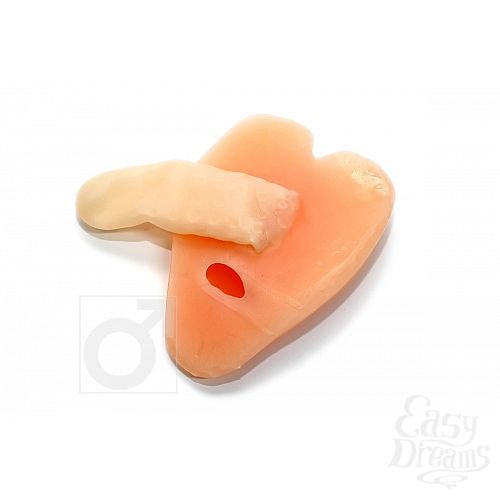 ���������� 4  ������������ ������ � ����������