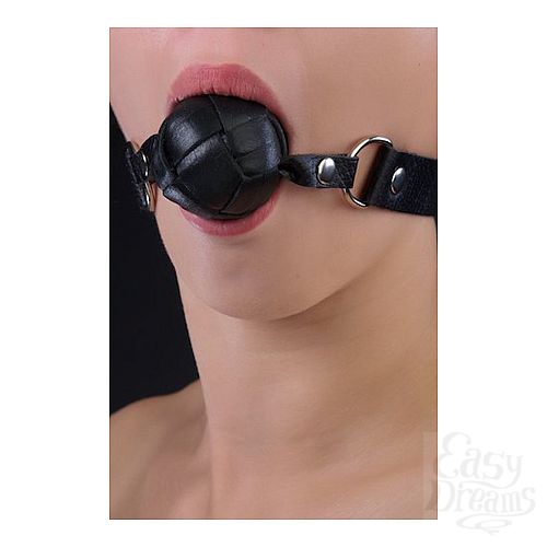 ���������� 1:  ���� ������