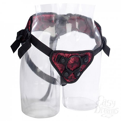  2    Harness   SCANDAL