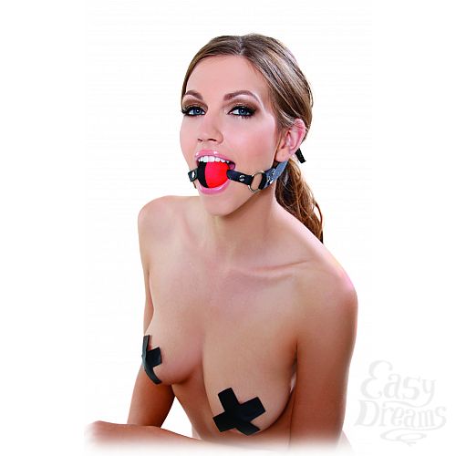 ���������� 2  ���� FF TWO TONE GAG 213600PD
