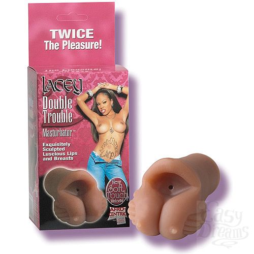  1:      LACEY 0458-03 BX SE