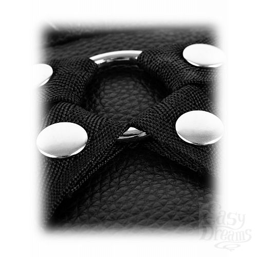  4   FF LEATHER LOVER S HARNESS 347223PD