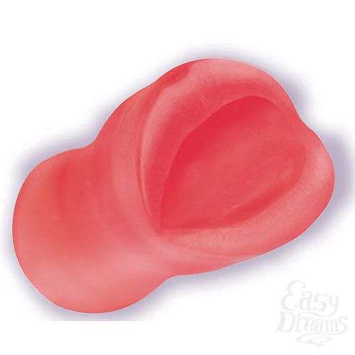  2   - PALM PAL 0683-02 BX DJ