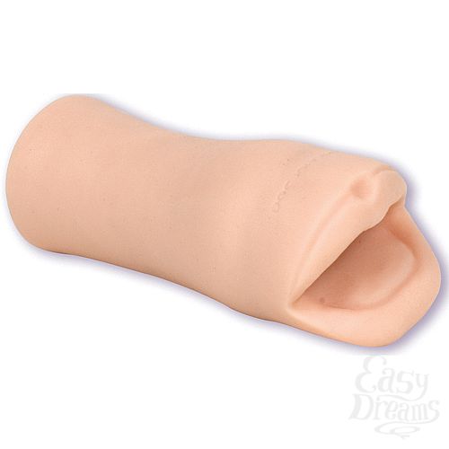  2  - PALM PAL 0683-05 BX DJ