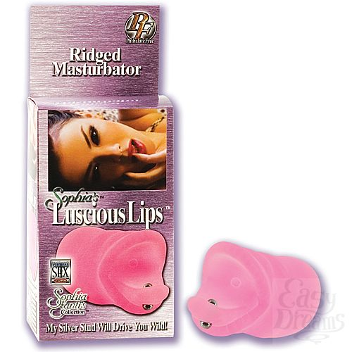  1:    SOPHIA 7440-04 BX SE