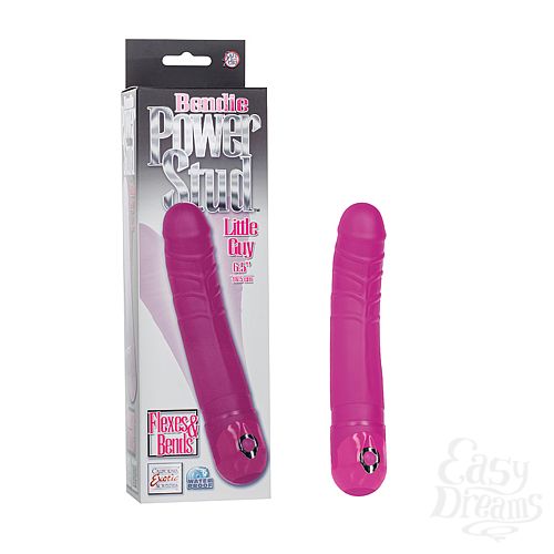 ���������� 1:  ������������� ��������� Bendie Power Stud Little Guy � ��������� �������