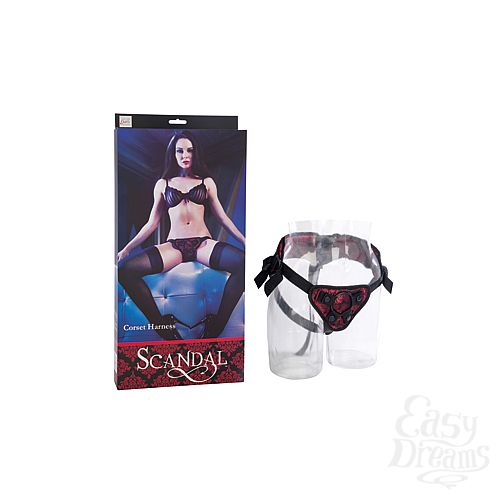  1:      Scandal Corset Harness , : -