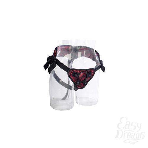  2      Scandal Corset Harness , : -