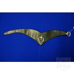  �������� ������ ����� � ����� �������