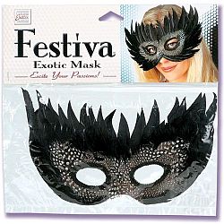    Festiva Exotic